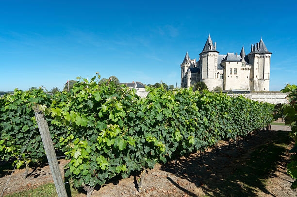 CHAMBRE D'HÔTES À SAUMUR À PROXIMITÉ DE LA ROUTE DES VINS, Saumur, Chambres d'hôtes La Tour de Bellevue